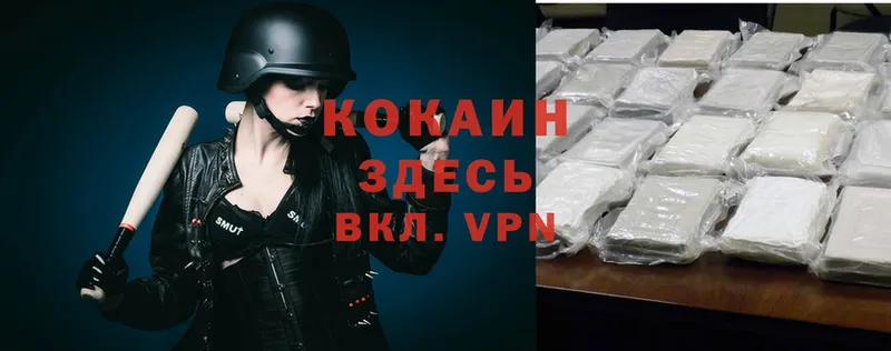 Cocaine FishScale  Салехард 